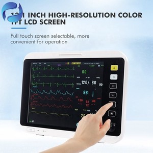 Dispositivo Portatile di Monitoraggio Veterinario con Sistema a Coordinate Cartesiane e Funzionalità Holter ECG Multiparametrico per Ospedali Veterinari - Product Image 3