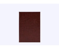 Couverture de menu A4 personnalisée de haute qualité