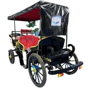 Transport spécial sans cheval de chariot de mandrin de visite électrique de 6 places d'approvisionnement d'usine d'OEM à un prix - Product Image 2