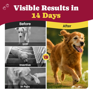 <strong>Dog</strong> Cat Joint Health Care Soft Chews <strong>Fish</strong> <strong>Oil</strong> Glucosamine HCL High-Protein Pain Relief 120 Chews/Box - Product Image 2