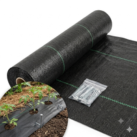 Toile de paillage anti-UV 70 g/m² en PP tissé pour projets agricoles, de jardinage et de paysagisme