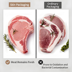 Dispositif de scellage <span class=keywords><strong>sous</strong></span> <span class=keywords><strong>vide</strong></span> puissant pour la conservation des aliments frais, de la viande, des aliments cuisinés et des fruits de mer, semi-automatique commercial - Product Image 3