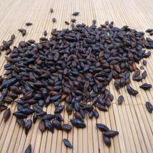 Vente en gros Emballé en vrac de thé de <span class=keywords><strong>malt</strong></span> d'orge saveur rôti minceur traitement brut en sac de thé de <span class=keywords><strong>malt</strong></span> d'orge - Product Image 3