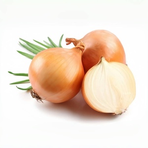 Bulbes d'oignons jaunes frais d'usine de Shandong bon marché oignons frais de haute qualité - Product Image 4