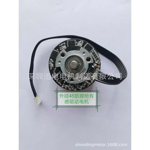 Moteur de pistolet de massage 45 mm, 36 V, à balais, pour pistolet de massage - Product Image 1