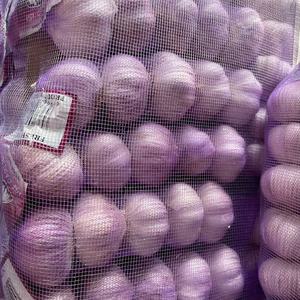 <span class=keywords><strong>Ail</strong></span> rouge frais de Chine 2025, <span class=keywords><strong>ail</strong></span> violet, <span class=keywords><strong>bulbe</strong></span> à vendre - Product Image 6