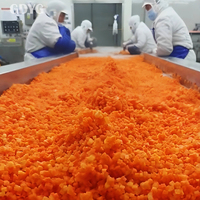 Carottes en dés surgelées IQF, fraîchement blanchies, de Chine, en gros, emballage en vrac, légumes surgelés, prix compétitif