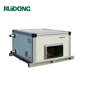 Ruidong 천장 유형 산업 공기 처리 단위 AHU 냉각장치 HVAC 체계
