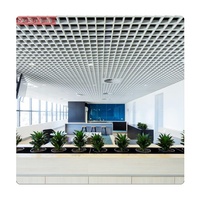 Matériaux de décoration d'intérieur, cellules ouvertes, grille en aluminium, système de plafond, Restaurant, magasin, Hall, Garage, hangar, Pop, faux plafond