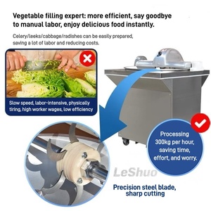 Hachoir Commercial Silencieux Numérique pour Viande et Aliments, Machine à Hacher avec Bol – Prix - Product Image 5