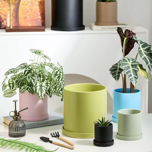 Maceta Redonda de Cerámica Esmaltada de Estilo Nórdico Morandi, Colorida, con Bandejas para <span class=keywords><strong>Plantas</strong></span> <span class=keywords><strong>Suculentas</strong></span> <span class=keywords><strong>y</strong></span> Cactus de Jardín <span class=keywords><strong>y</strong></span> Hogar - Product Image 2