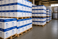 Papel de Copia A4, 80 g/m², Blanco, Papel de Impresión para Oficina, Papel Multiusos para Impresora A4
