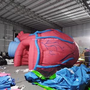 Надувная модель органа человеческого сердца под заказ надувная медицинская сердце надувная 3d модель сердца для медицинских выставок - Product Image 6