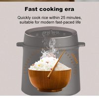 Olla Arrocera Eléctrica Automática de 2L de Capacidad, Recubrimiento Antiadherente, Carcasa de Plástico, Electrodoméstico Multiusos para Cocina