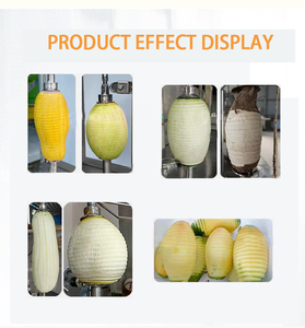 Máy Gọt Vỏ Dứa Bí Ngô Dưa Hấu Dừa Công Nghiệp Máy Chế Biến Rau Và Trái Cây - Product Image 5