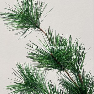 กิ่งสนประดิษฐ์ 10 หัว ยาว 80 ซม. สำหรับตกแต่งภายในบ้าน รุ่น Secret Garden - Product Image 5