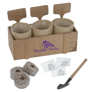 Kit de culture de fleurs de thé triple avec logo personnalisé, infusion aromatique apaisante, jardin d'intérieur, cadeau promotionnel, vente <span class=keywords><strong>en</strong></span> gros - Product Image 3