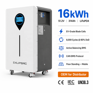 แบตเตอรี่โซลาร์ LiFePO4 16kWh 314Ah 51.2V เกรด A สำหรับรถยนต์ไฟฟ้า 8000 รอบการใช้งาน พร้อมระบบจัดการแบตเตอรี่อัจฉริยะ (Smart BMS) สามารถต่อขนานได้ รองรับ OEM - Product Image 1