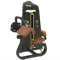 Équipement commercial professionnel de machine de courbure de triceps de machine de boucle de biceps pour l'entraînement de force, la musculation, et le mouvement de bras