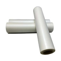 Film de transfert DTF G-Printing double mat 60 cm en rouleau pour sublimation, alimentation stable, pour la production de vêtements A3