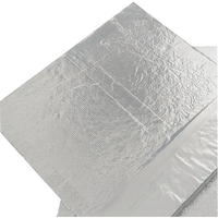 20mm Vip Panneau d'isolation sous vide pour la construction