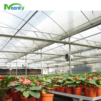 Serre agricole pour tomates multi-span pour fruits/herbes/cultures/concombres/aubergines/tomates/laitues Système hydroponique Black out