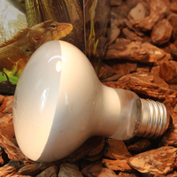 R63 25W 40W 60W Uva Lampe Chauffante Lumière Reptile Lampes Élevage Animal Équipement pour Animaux Tortue Reptile Lampe
