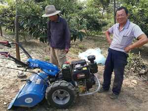 Cortacésped de muy buena calidad marca italiana <span class=keywords><strong>BCS</strong></span> cultivador rotativo <span class=keywords><strong>BCS</strong></span> serie 720 mini motocultor - Product Image 4