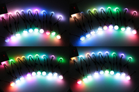 Lumière de pixel de RGBW 12V LED 3 Leds 26mm point d'amusement allume le corps en aluminium IP67 de PVC évalué pour l'application de paysage de parc à thème