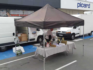 Nhà máy Trung Quốc Made flameproof không thấm nước <span class=keywords><strong>4x6</strong></span> khung nhôm gazebo lều ngoài trời biểu tượng tùy chỉnh lều với tường cửa - Product Image 5