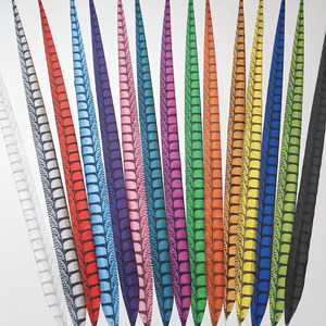 <span class=keywords><strong>Plume</strong></span> de fausse <span class=keywords><strong>plume</strong></span> de faisan de 100 cm, multicolore, vente en gros d'usine, pour décoration de costumes de carnaval de Samba - Product Image 3