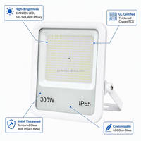 Lampe LED extérieure IP65 100W 15000lm avec cadre en aluminium blanc pour enseigne