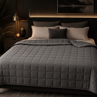 Couverture lestée thérapeutique matelassée 8 kg en polyester respirant avec billes de verre, personnalisable OEM/ODM, idéale pour les voyages en avion, portable