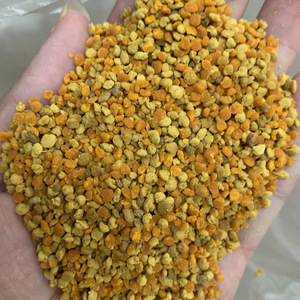 Pólen de Abeja Mixto de Colza de Alta Calidad de Nueva Temporada, Aproximadamente 60% - Product Image 5