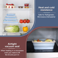 Conteneurs de stockage d'aliments sans Bpa de différentes capacités Boîte à lunch pliable en silicone Bento