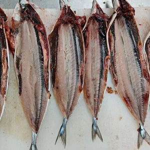 Maquereau congelé <span class=keywords><strong>Brochet</strong></span> Saury #3 Frozen Pacific Saury Japon Poisson à vendre - Product Image 4