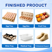 Mesin Pembuat Tray Telur dari Pulp Terpadu, Peralatan Pallet Sarang Lebah, Mesin Pallet Tray Telur, Senegal