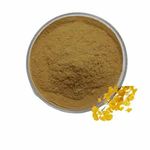 Hot Sale Ginkgo Biloba Leaf Extract Ginkgo Biloba Extract Flavone Powder Ginkgo Biloba Extract