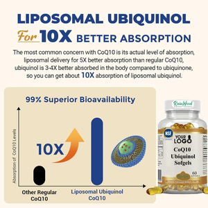 Rainwood Supply OEM 600mg Liposomale CoQ10 Ubiquinol Softgel Capsules - Product Image 4