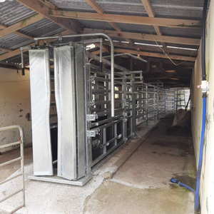 Brete Ganadero Automático de Acero Galvanizado de Uso Rudo Equipo Agrícola con Báscula Cerca y Enrejado - Product Image 3