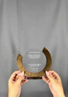 Trophée personnalisé en bois, gravé sur mesure, en bois et acrylique, pour la reconnaissance