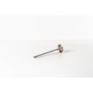 Valvola di Aspirazione Adatta per DAF 1307654, Valvole Motore - Product Image 3