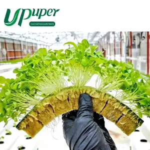 Upuper nhà máy trong nhà nhân bản Hạt Giống Nảy mầm chất nền phát triển phương tiện truyền thông đá len Starter Cubes hydroponics