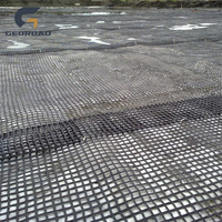 Geogrid de Poliéster de Alta Resistencia a la Tracción con Certificación CE Georoad para Estabilización de Suelos con 5 Años de Garantía