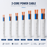 Kabel Listrik Rumah Tangga 2 Inti 18 20 22 24 26 AWG Konduktor Tembaga Multi Inti Fleksibel Kabel Penghubung Listrik