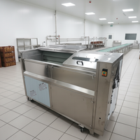 Máquina Semiautomática de Bajo Costo para Freír Papas Fritas y Chips de Plátano, Producción de 100-500kg/h, Línea de Producción Industrial