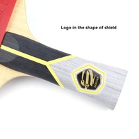 Raquettes de tennis de table professionnelles 9 plis, nouveau design, raquette de ping-pong, emballage rigide