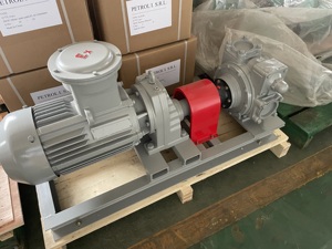 Bomba <span class=keywords><strong>de</strong></span> Paletas para Combustible Diésel con Motor, Correa en V, Máquina <span class=keywords><strong>de</strong></span> Llenado <span class=keywords><strong>de</strong></span> Gasolina, Bomba <span class=keywords><strong>de</strong></span> Transferencia <span class=keywords><strong>de</strong></span> Aceite - Product Image 4
