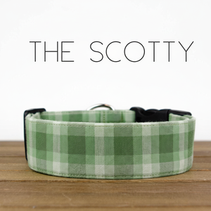Le collier de chien Scotty - Product Image 1