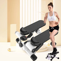 New Balance Mini Stepper Portable Peddle Exercise Machine Nice Day Rose Steel Mini Stepper pour Gym Use